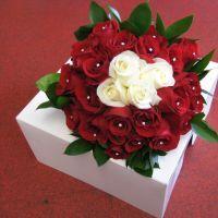 Simply Red Flowers